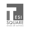 Tesisquare-Logo-Scala-Grigio-Ok